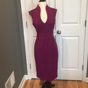 NWT Fuchsia Black Halo dress
